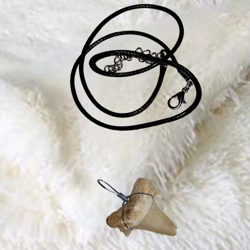 Fossilized Shark Tooth Pendant and Black Cord Leather Necklace